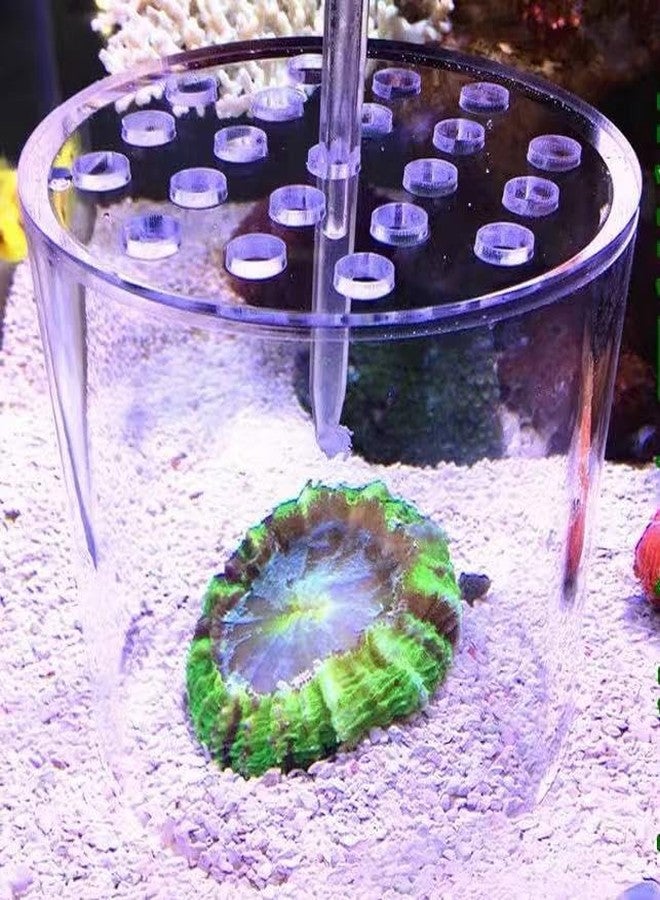 Weramics Acrylic Coral Feeder Cover Reef Feeding Breeding Protection Cover Avoid Corals Food Floating Around - Image 4